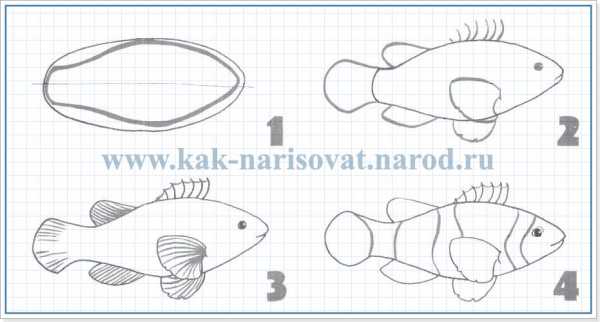 Как просто нарисовать рыбку легко и просто