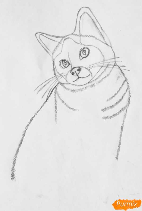 Кот батон нарисовать