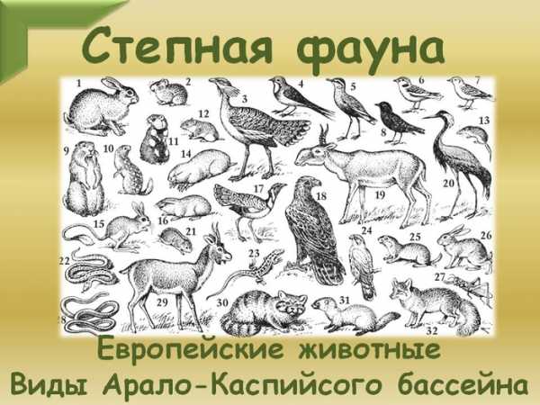 Нарисовать степь карандашом