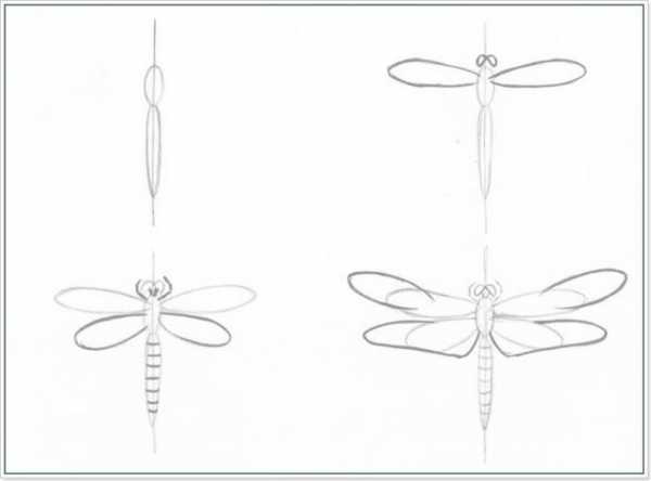 Нарисовать стрекозу для детей карандашом поэтапно