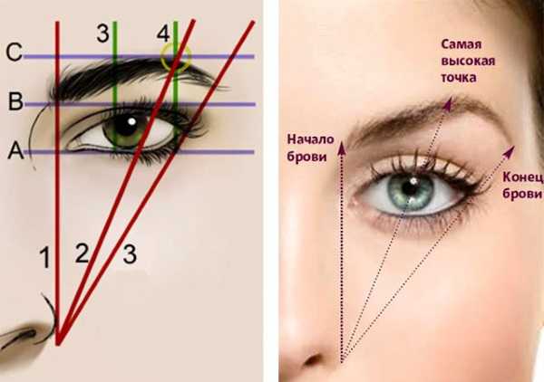Геометрия бровей как нарисовать