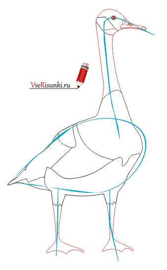 Как нарисовать гуся поэтапно для детей