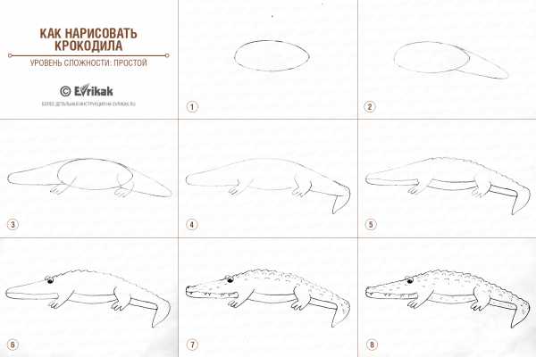 Как нарисовать крокодила гену поэтапно легко ребенку