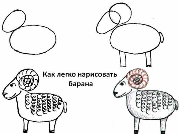 Рисовать барашка поэтапно