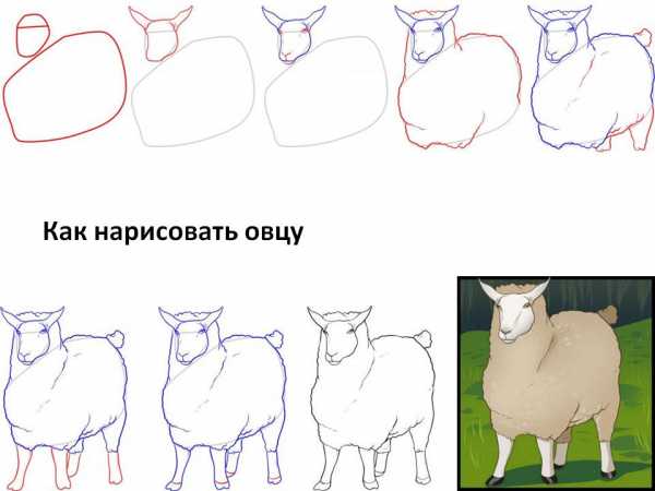 Как нарисовать ишака