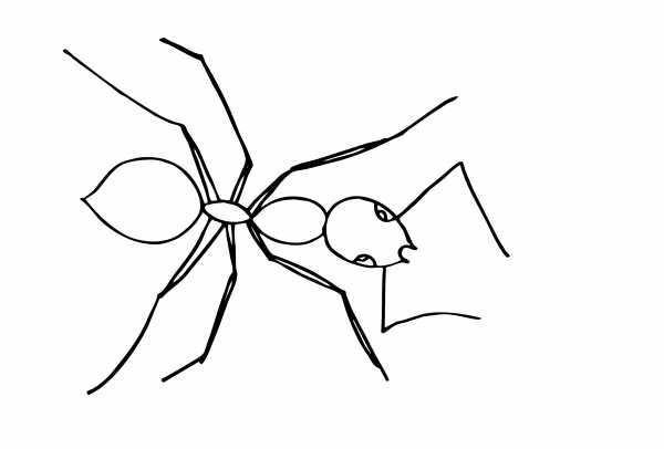 Как нарисовать маленького муравья