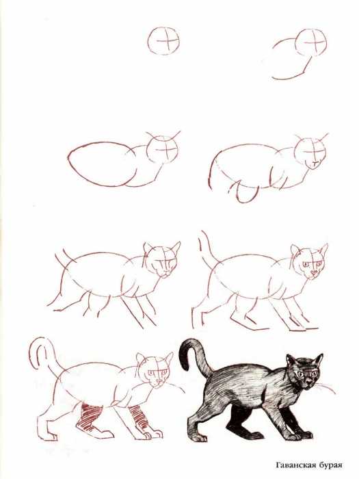 Нарисовать кота 5 класс