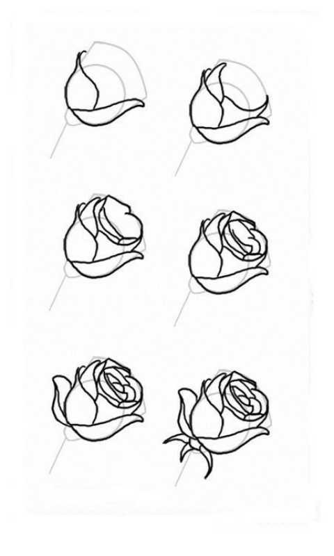 Как нарисовать розу в вазе поэтапно