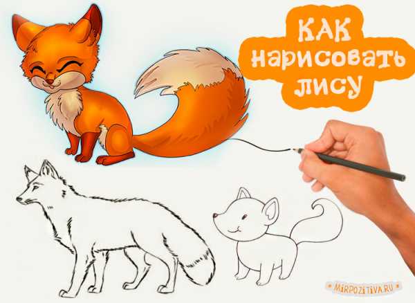 Лисичка рисунок для детей карандашом