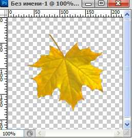 Как сделать падающие листья в фотошоп