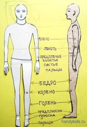 Проект макет человека