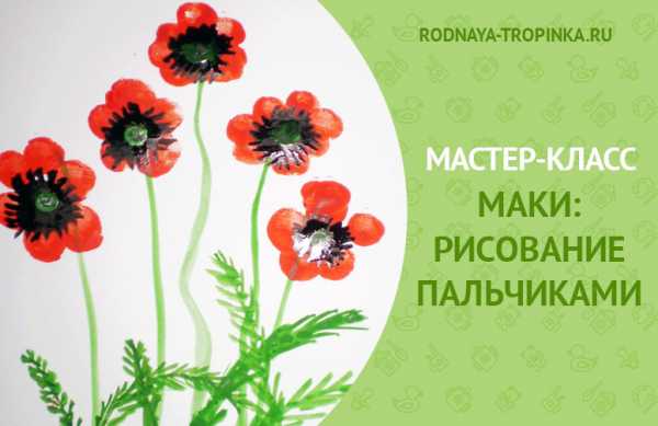 Мак с корнем картинка для детей