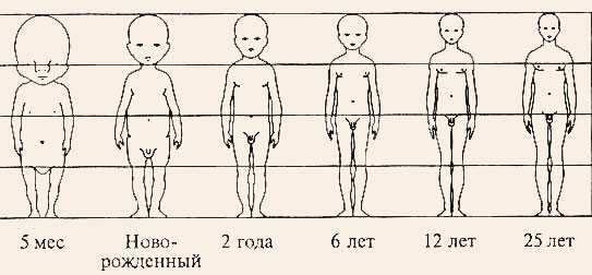 Как рисовать тело ребенка