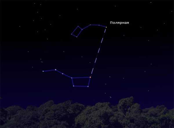 Как выглядит большая медведица в разные времена года на небе фото