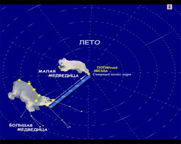 На небе ковшик золотой зовут медведицей большой секрет найти где север прост