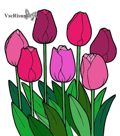 Рисунок тюльпаны на 8 марта