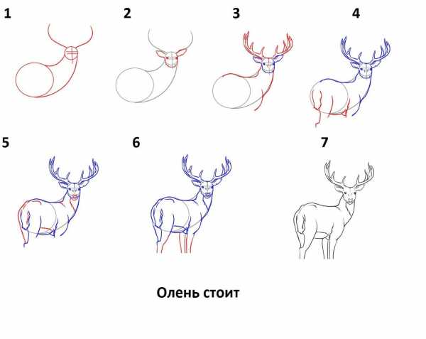 Как нарисовать кроме