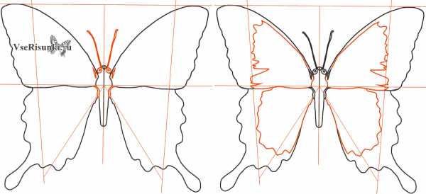 Схема рисования бабочки