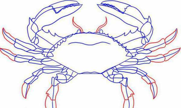 Как нарисовать краба