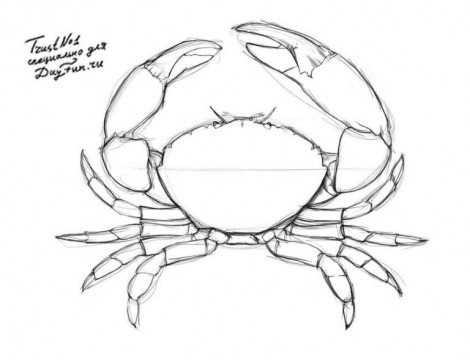 Как нарисовать краба для детей 7 лет