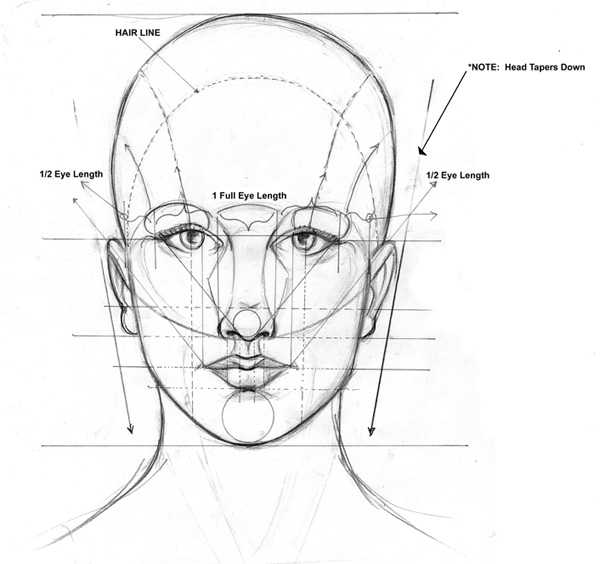 Как правильно рисовать овал лица