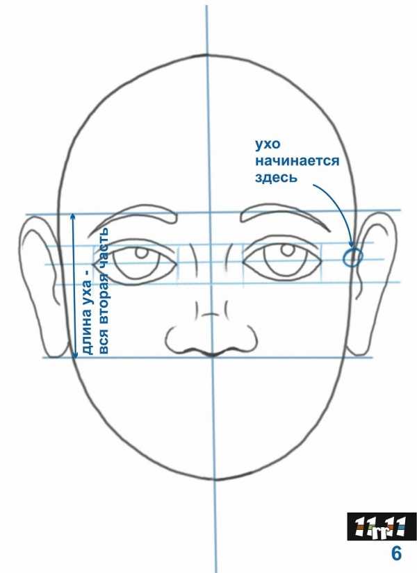 Как правильно рисовать овал лица