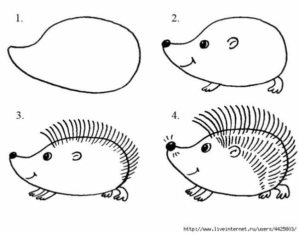 Как нарисовать ежика ребенку