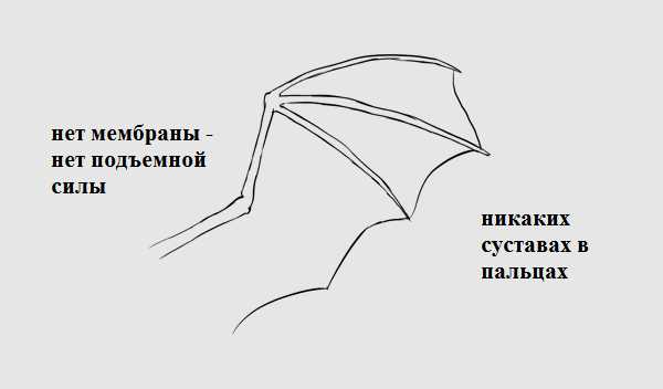 Как нарисовать крылышки