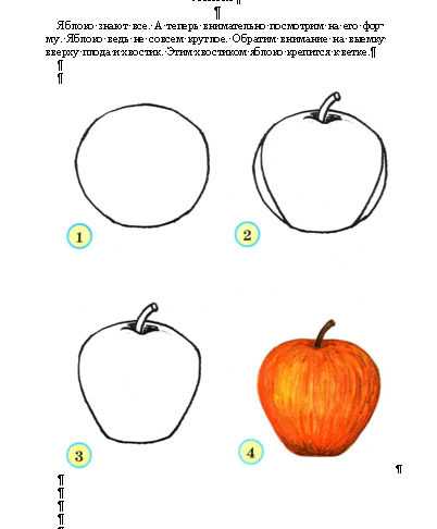 Как нарисовать яблоко карандашом поэтапно для начинающих