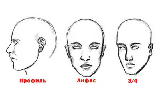 Как рисовать голову человека с боку