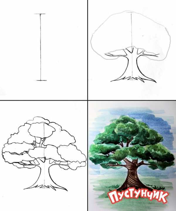 Рисуем дерево поэтапно презентация 1 класс