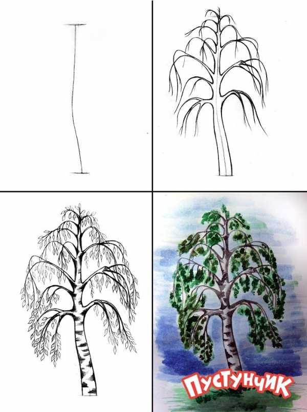 Рисуем дерево поэтапно презентация 1 класс