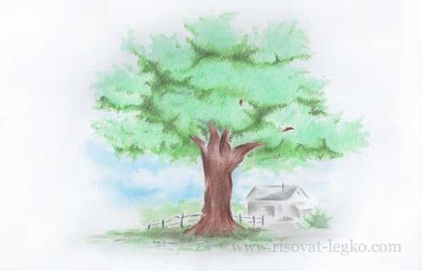 Рисунок на тему посади дерево