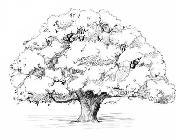 Чем лучше рисовать по дереву