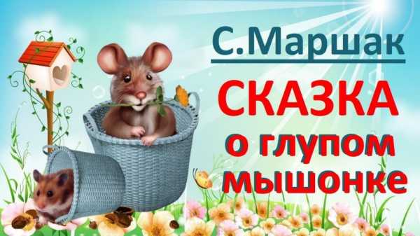 Найди мышку на картинке