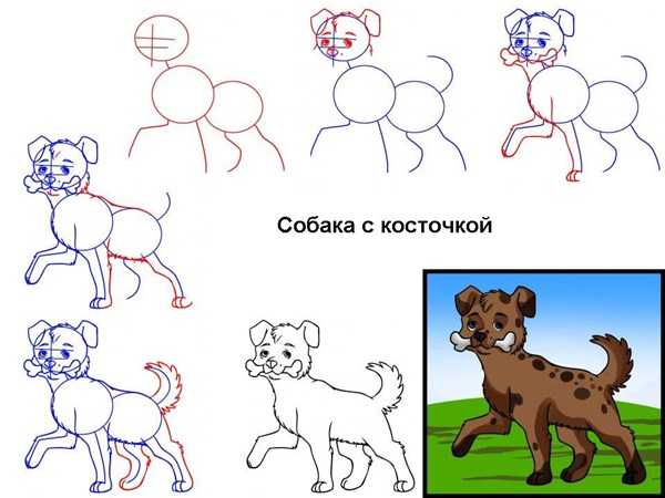 Нарисовать собаку по координатам