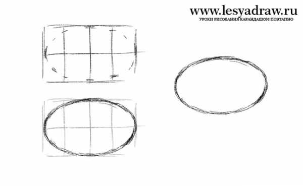 Как нарисовать правильный овал