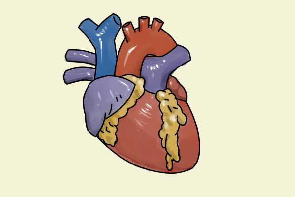 Рисовать сердце человека