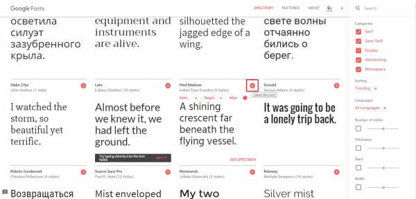 Русские шрифты google fonts