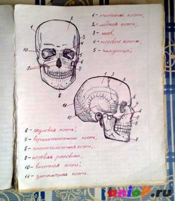 Корпспейнт чем рисовать