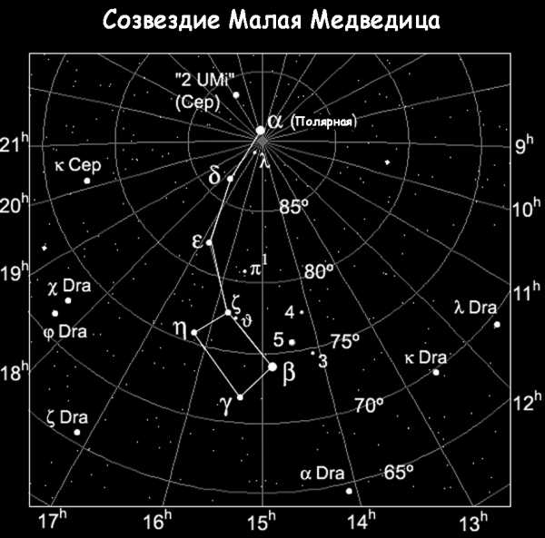 Малая медведица картинки