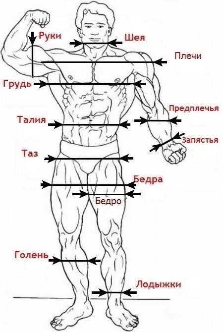 Картинка по параметрам тела