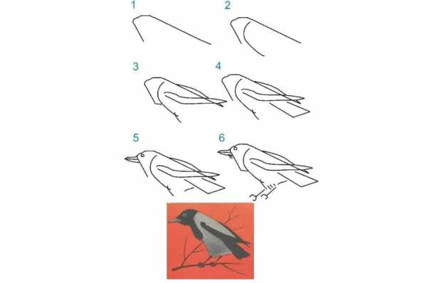 Как нарисовать ворону